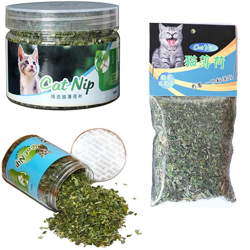 Catnip 100% Natural Premium- 10g/20g/30g