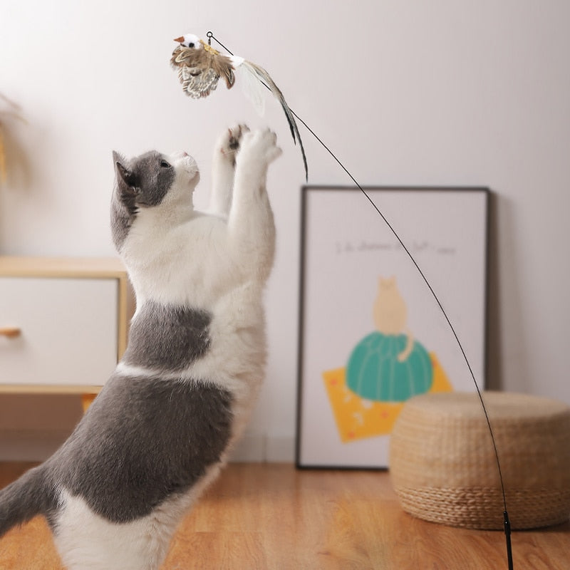 Brinquedo para Gato Interativo- Catch Bird