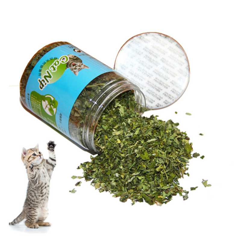 Catnip 100% Natural Premium- 10g/20g/30g