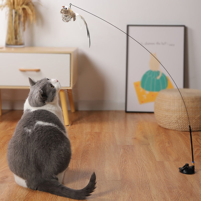 Brinquedo para Gato Interativo- Catch Bird